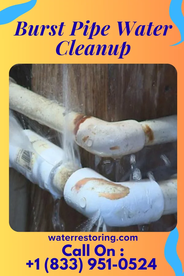 Burst Pipe Water Cleanup in Whitehaven, MD