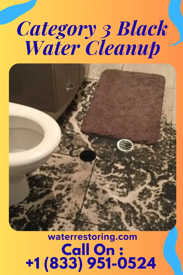 Category 3 Black Water Cleanup in Whitehaven, MD