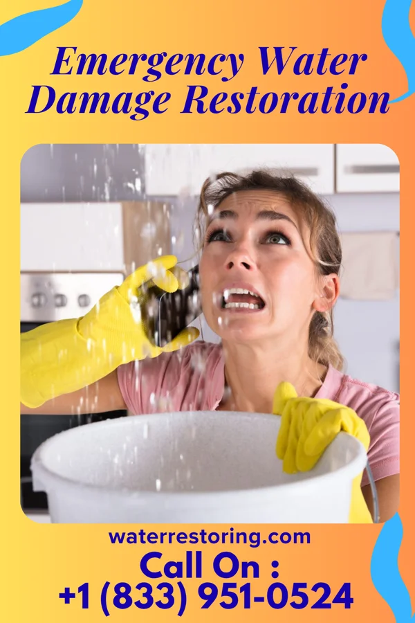 Emergency Water Damage Restoration in Whitehaven, MD