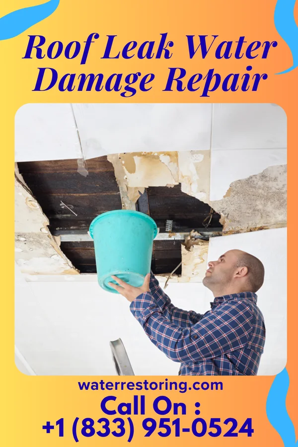 Roof Leak Water Damage Repair in Whitehaven, MD