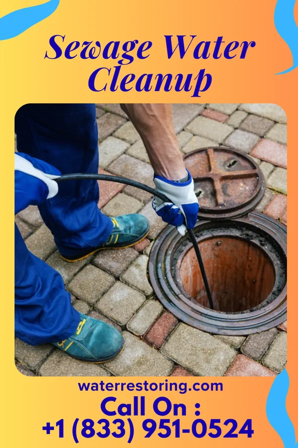 Sewage Water Cleanup in Whitehaven, MD
